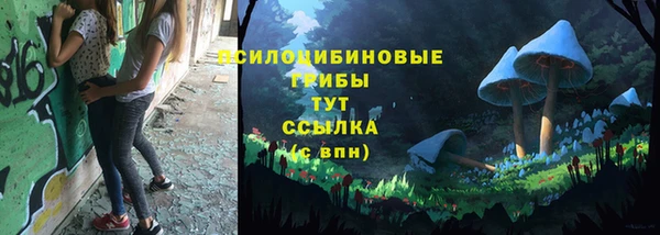 a pvp Мегион