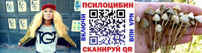 Галлюциногенные грибы Magic Shrooms  Тула 
