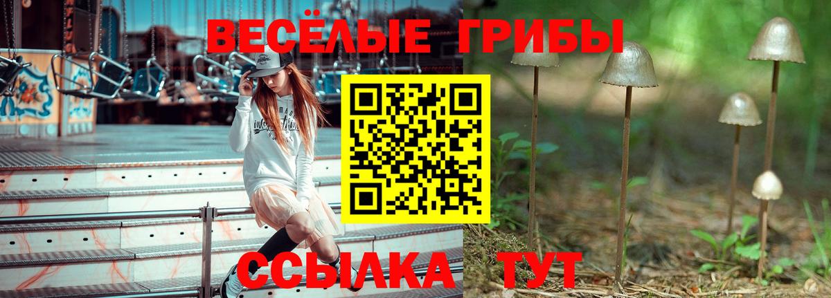 Псилоцибиновые грибы Psilocybe  Вход с VPN  Тула 