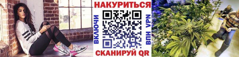 Бошки Шишки планчик  площадка клад  Тула 