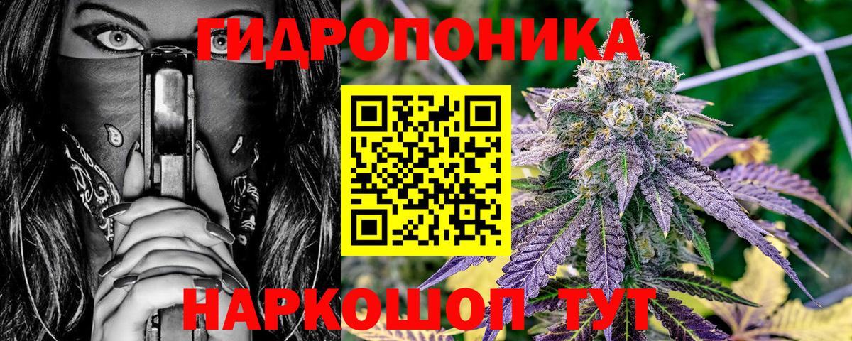 Тула  Бошки марихуана тримм  Бошки Шишки Ganja  Бошки марихуана планчик  Вход с VPN 